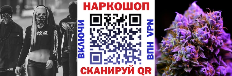 Магазины продажи наркотиков Нововоронеж Псилоцибиновые грибы  МЕФ  АМФ  Кокаин  ГАШ  Альфа ПВП 