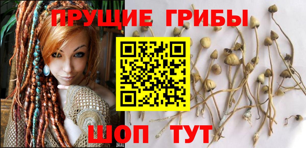 Псилоцибиновые грибы MAGIC MUSHROOMS Нововоронеж