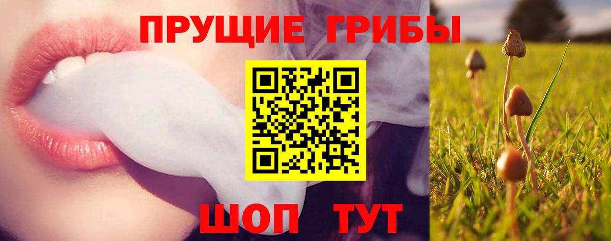 Нововоронеж  Псилоцибиновые грибы GOLDEN TEACHER  Вход с VPN 